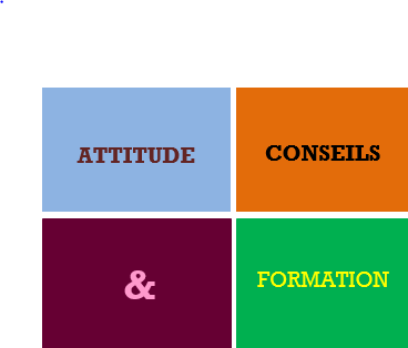 ACF ATTITUDE CONSEILS ET FORMATION